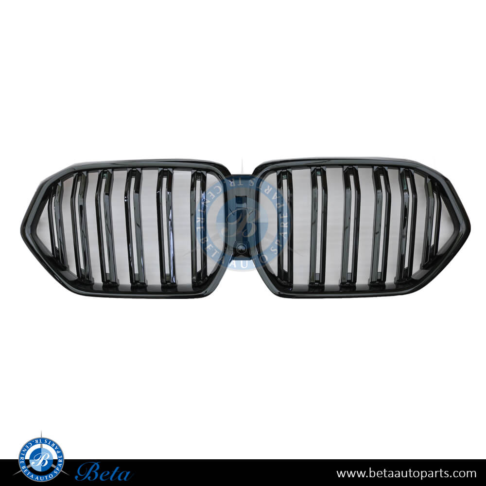 Radiator Grille M Look 2 Lines for BMW X6 G06 2020-Up models, Part Number 51138745303 Radiator Grille M Look 2 Lines for BMW X6 G06 2020-Up models, Part Number 51138745303